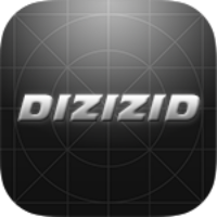 Dizizid Manual